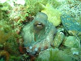 2013-06-13 12-15-50 Steven